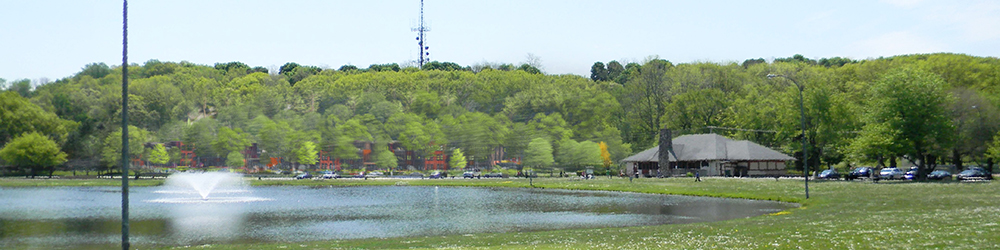 Cobbs Hill_Culver_3-15-18.jpg